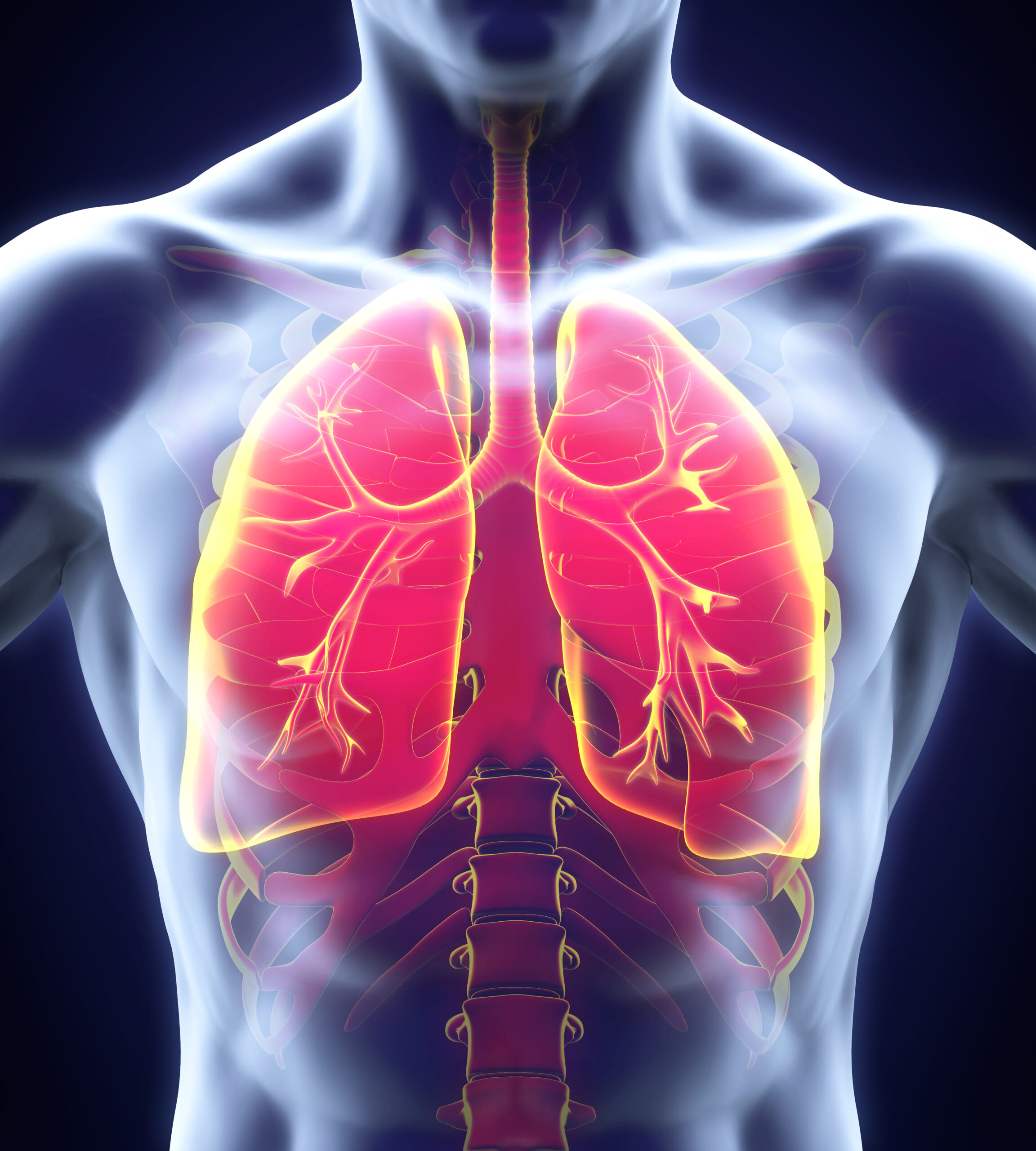 Lung stem cell therapies lung stem cell therapies