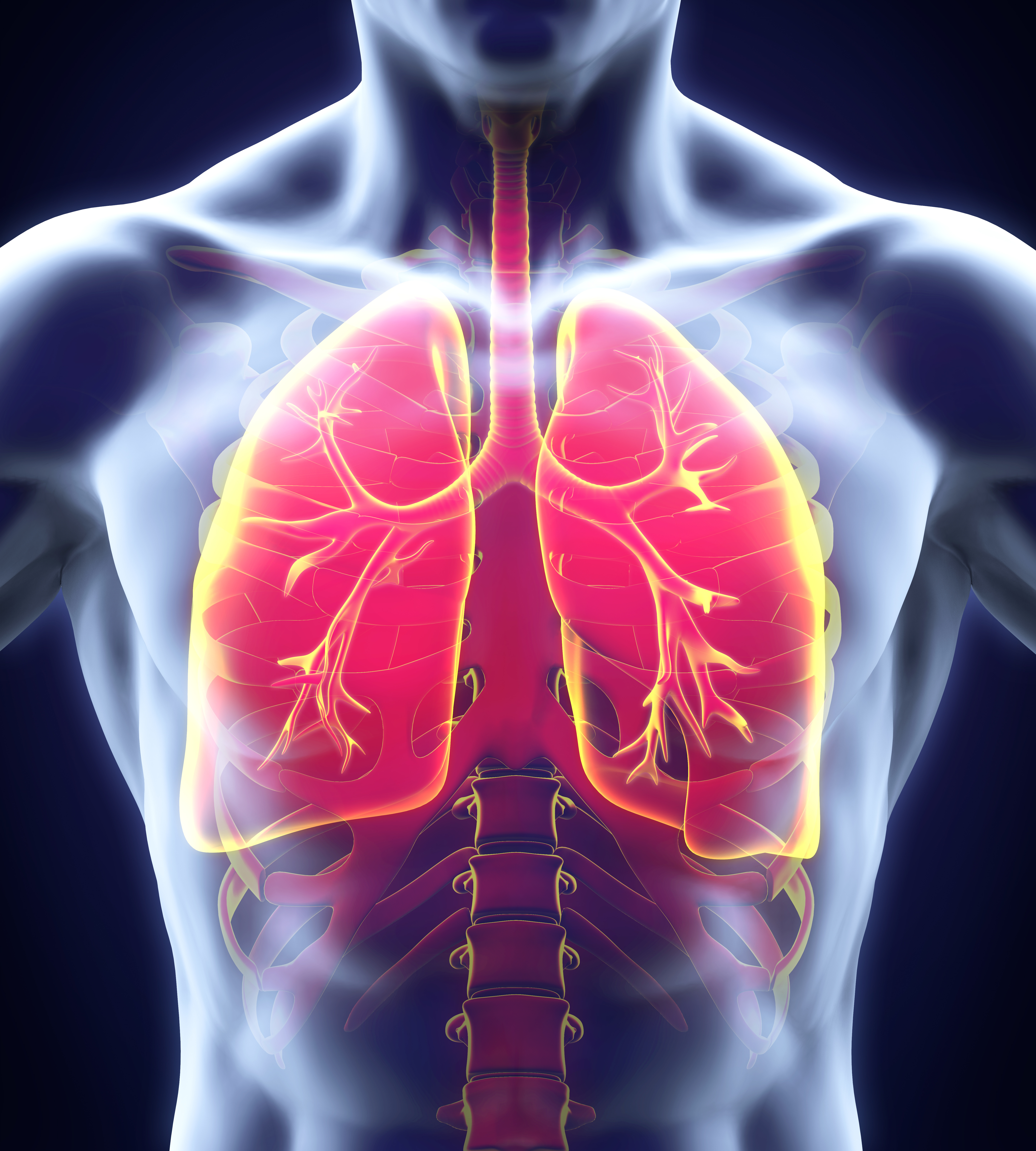 Lung stem cell therapies lung stem cell therapies